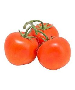 Cà chua giống Hà Lan hữu cơ Cà chua giống Hà Lan hữu cơ