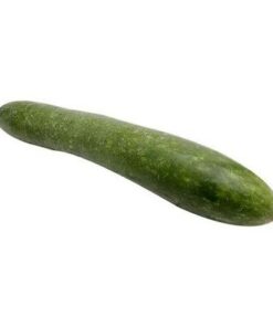 Bí đao hữu cơ Bí đao hữu cơ