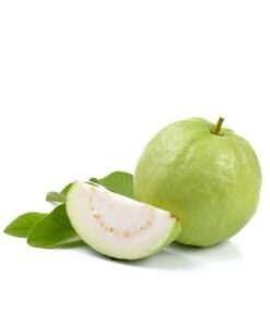 Ổi hữu cơ – CU841314 Ổi hữu cơ – CU841314