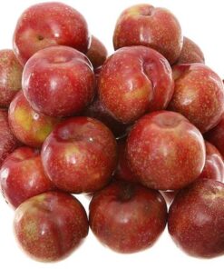 Mận hậu Sơn La Mận hậu Sơn La